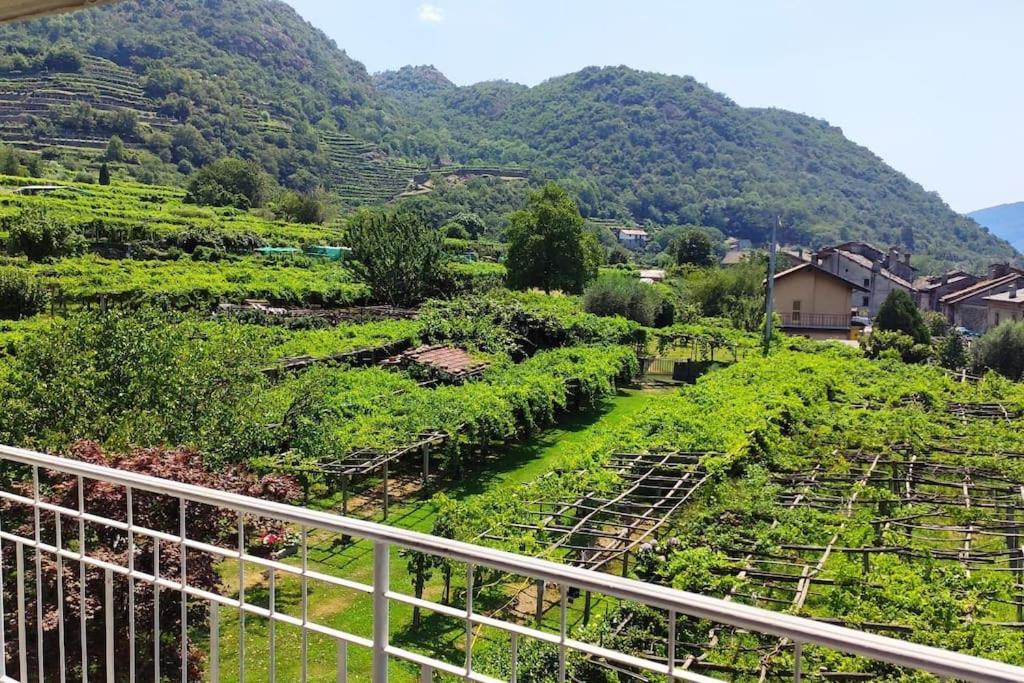 La Casa Dei Nonni 3,0 Apartamento Carema Exterior foto