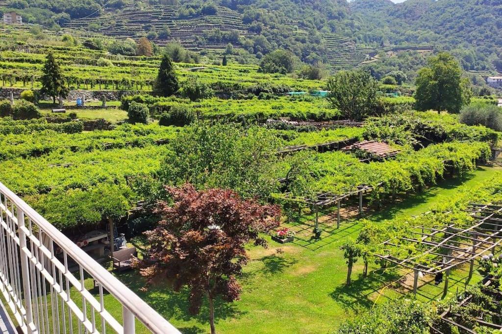La Casa Dei Nonni 3,0 Apartamento Carema Exterior foto