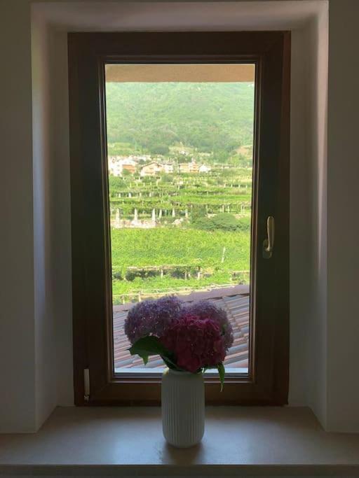 La Casa Dei Nonni 3,0 Apartamento Carema Exterior foto